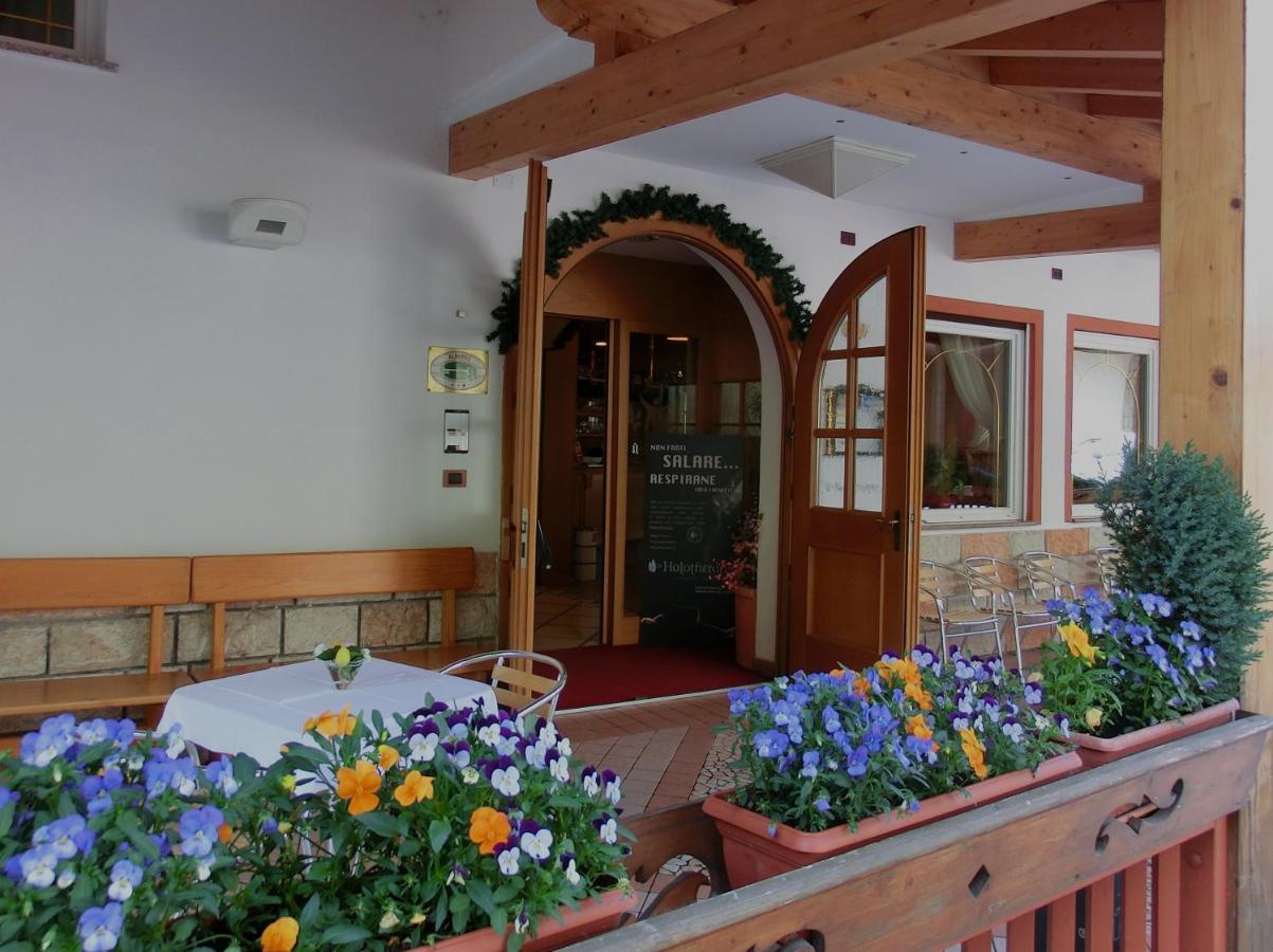 Hotel Belvedere Wellness & Family Baselga di Pinè Zewnętrze zdjęcie