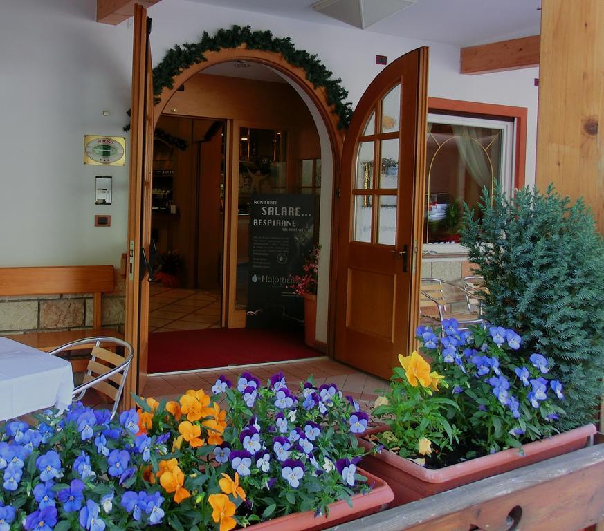 Hotel Belvedere Wellness & Family Baselga di Pinè Zewnętrze zdjęcie